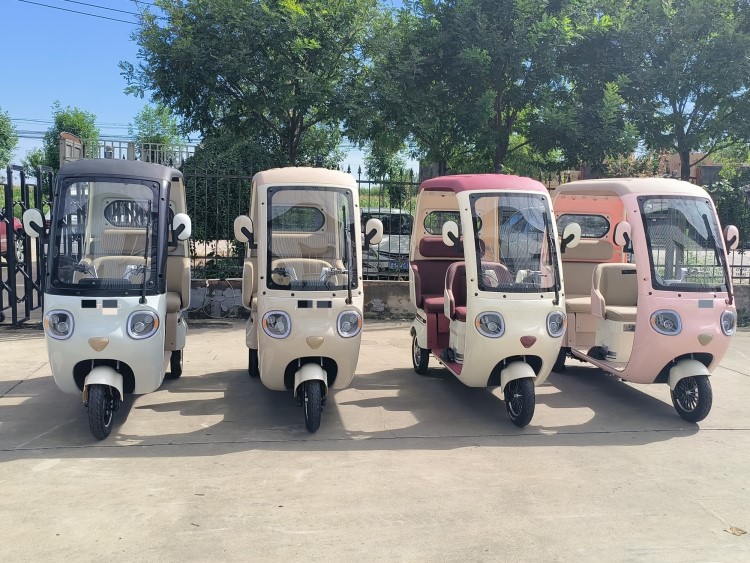 Electric Tricycle motor Quotation  - MTH800DZK