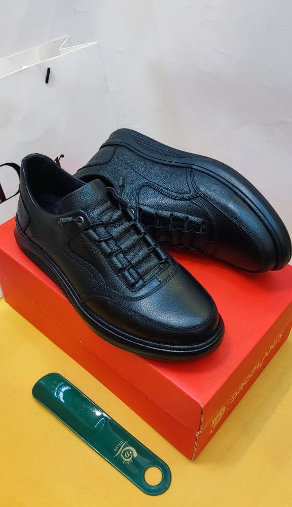 Drop land  Men's Genuine Leather Casual Shoes