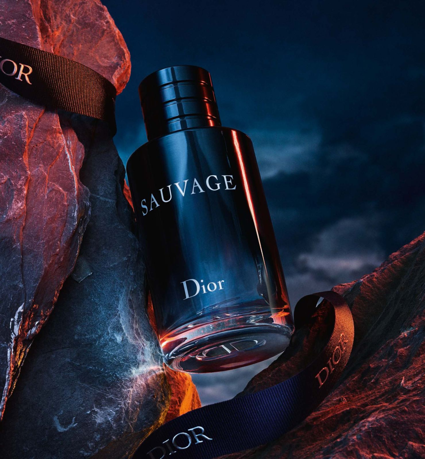 Sauvage Dior  Eau De Toilette 100ml