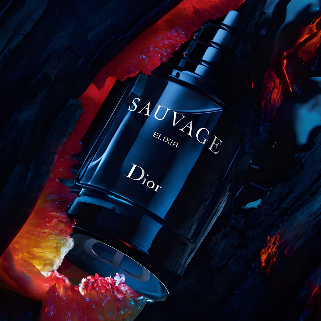 Dior Christian Sauvage Elixir For Men