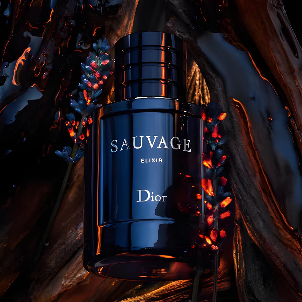 Dior Christian Sauvage Elixir For Men