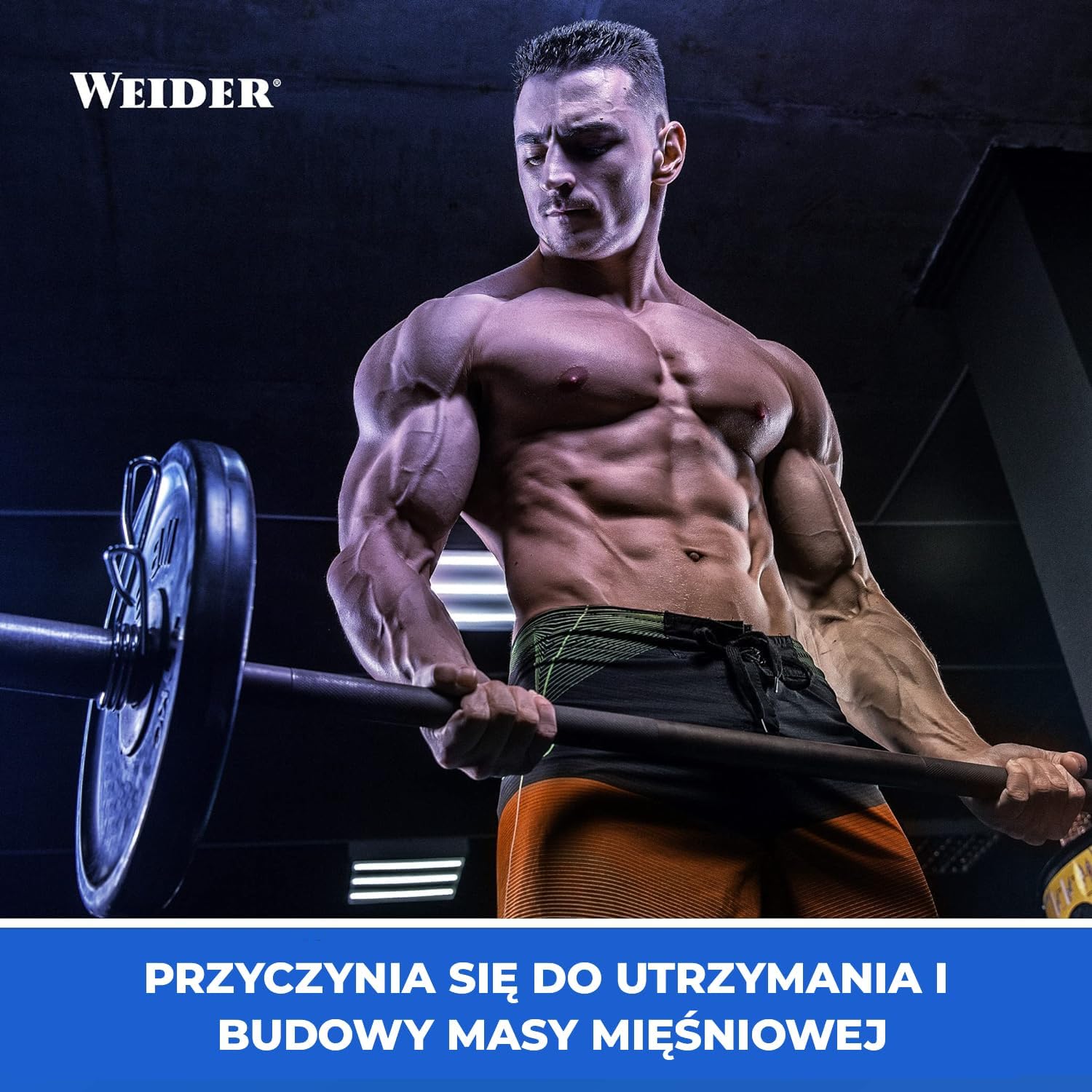 Weider Premium Whey Protein Powder - High Protein, Low Carbs & Low Fat with L-Glutamine and Vitamin B6