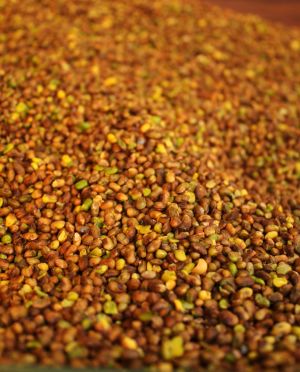Qazwan Kernels
