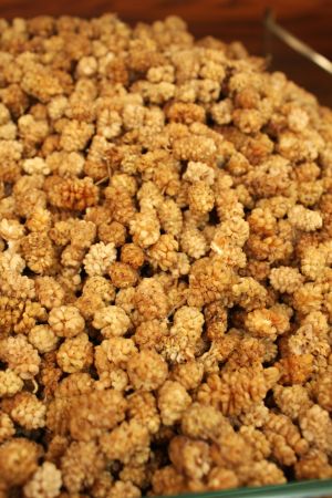 Local Dried Berries