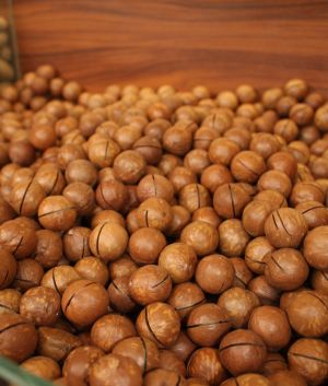 Macadamia With Shell