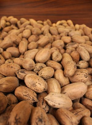 Brazilian Walnuts