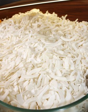 Dried Coconut