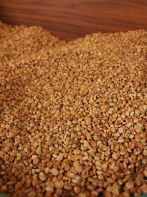 Sumac Seeds