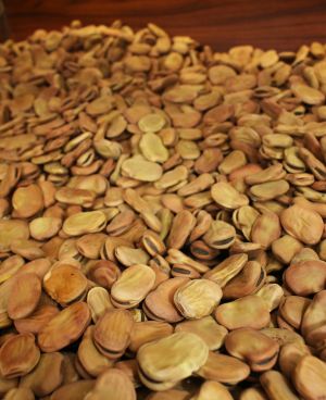 Dried Broad Beans