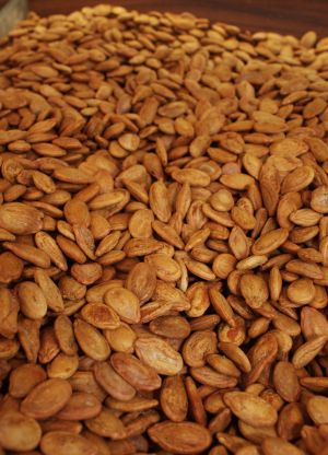 Watermelon Seeds