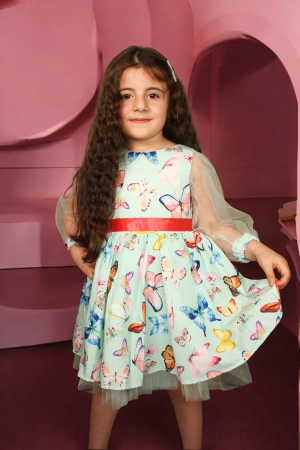 Butterfly Printed Dress