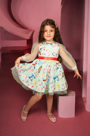 Butterfly Printed Dress