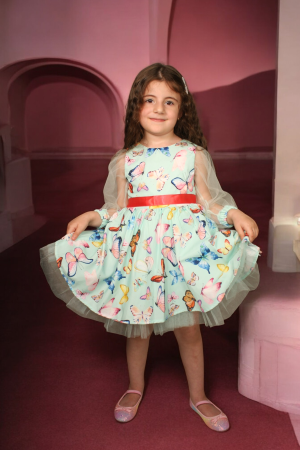 Butterfly Printed Dress