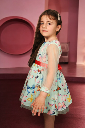 Butterfly Printed Dress