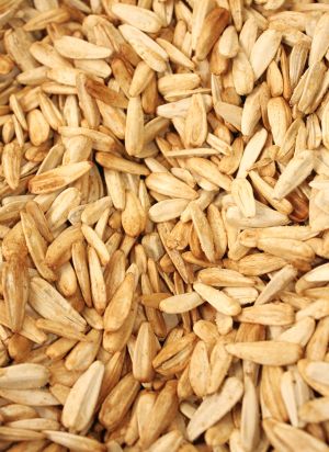 Sunflower Seed