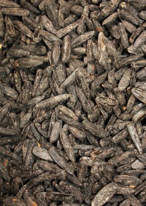 Black Sunflower Seeds