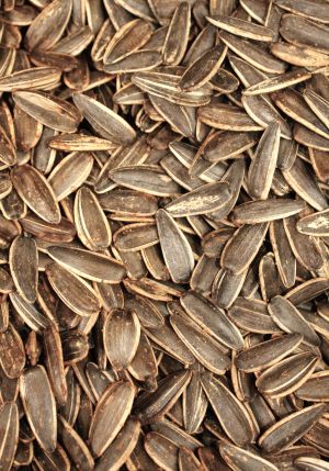 Sunflower Seeds