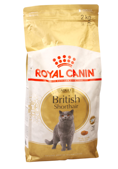 Royal Canin dry food for British Shorthair