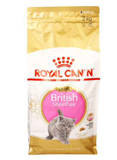 British Shorthair Kitten Dry Food For Cat