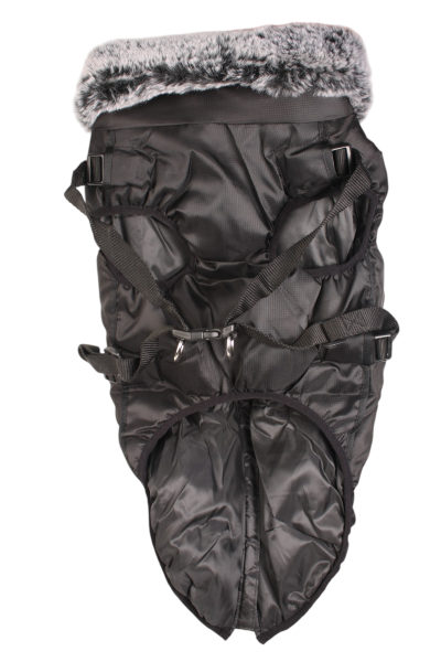 Winter Clothes For Dogs