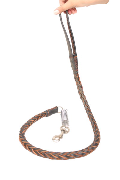 Rope Dog Leash