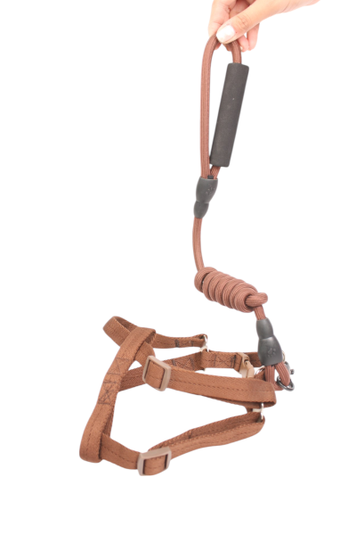 Round Rope Dog Training Lead for Dogs