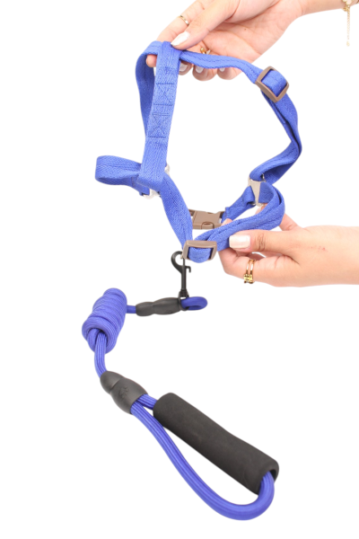 Round Rope Dog Training Lead for Dogs