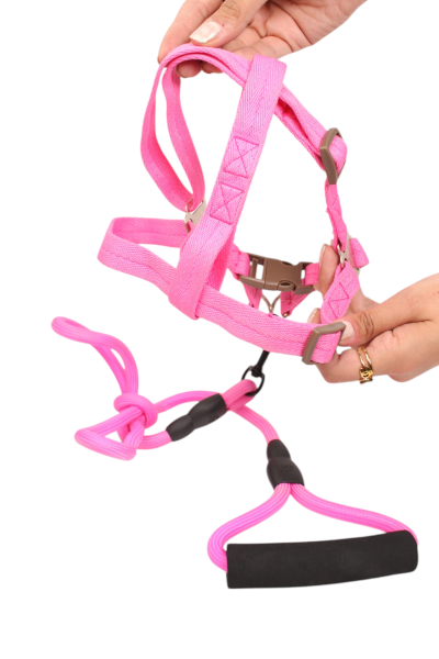 Round Rope Dog Training Lead for Dogs