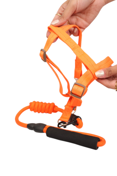 Round Rope Dog Training Lead for Dogs