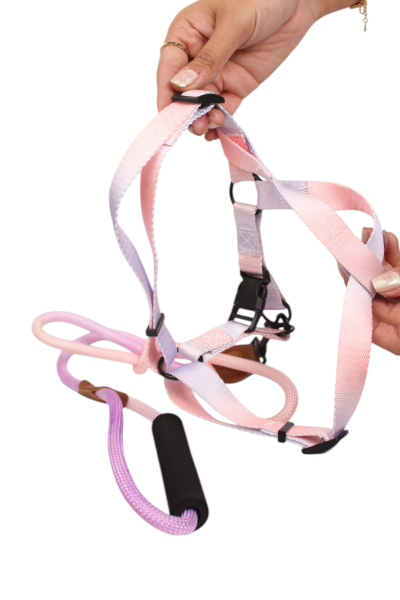Round Rope Dog Training Lead for Dogs