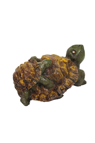 Fish Tank Accessories