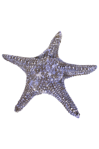 Fish Tank Accessories