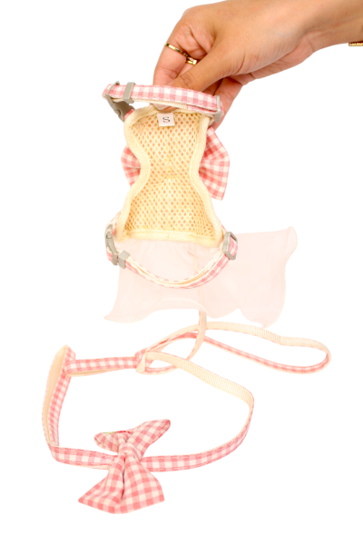 Round Rope Pet Training Lead for Dog and cat