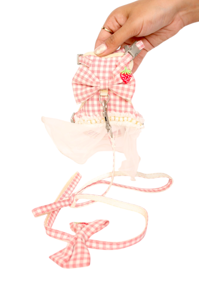 Round Rope Pet Training Lead for Dog and cat