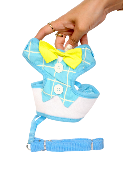 Round Rope Pet Training Lead for Dog and cat