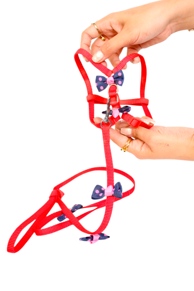 Round Rope Pet Training Lead for Dog and cat