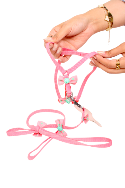 Round Rope Pet Training Lead for Dog and cat