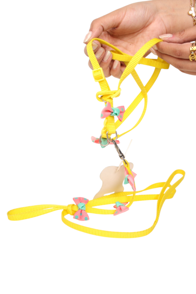 Round Rope Pet Training Lead for Dog and cat