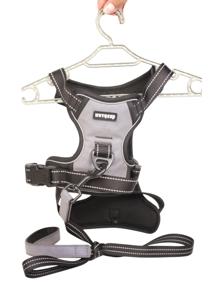 Round Rope Pet Training Lead for Dog and cat