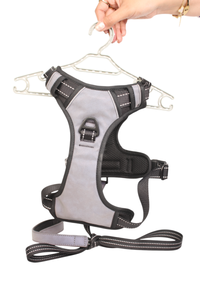 Round Rope Pet Training Lead for Dog and cat