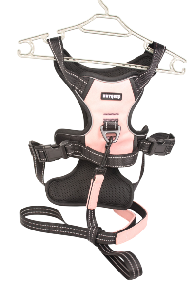 Round Rope Pet Training Lead for Dog and cat