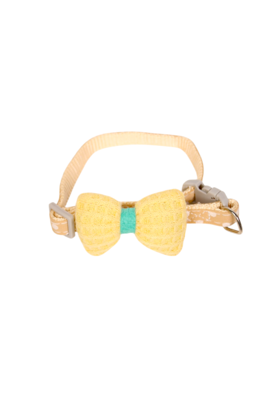 Cat Collars