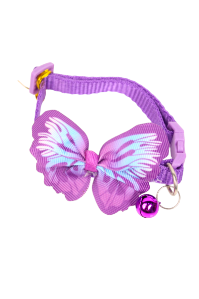 Cat Collars