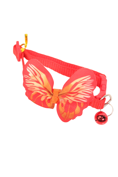Cat Collars