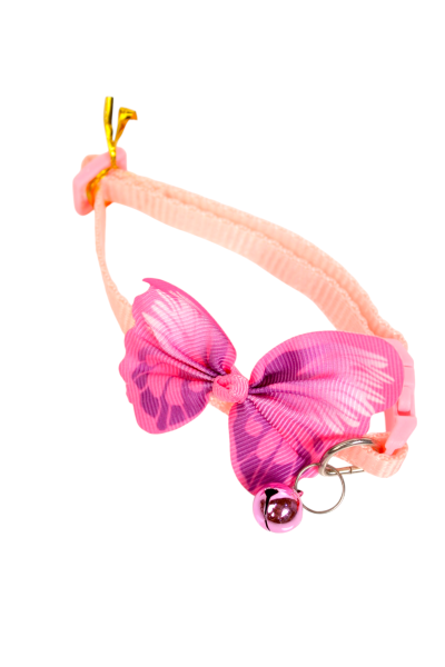 Cat Collars