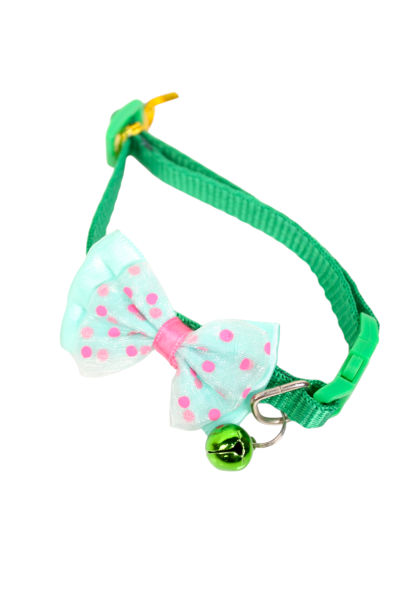 Cat Collars