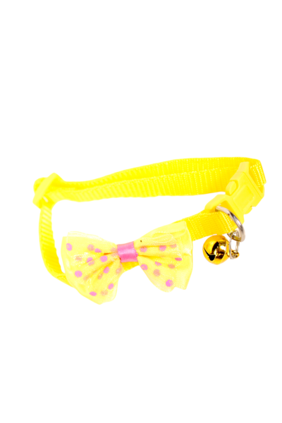 Cat Collars