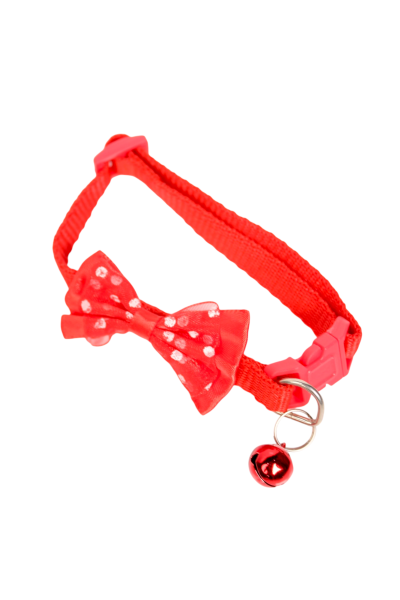 Cat Collars