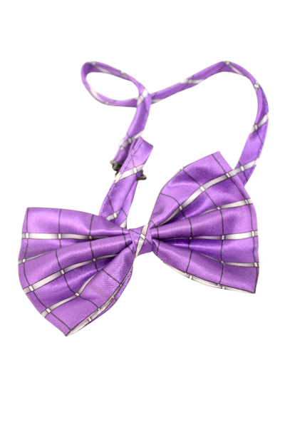 Cat Collars