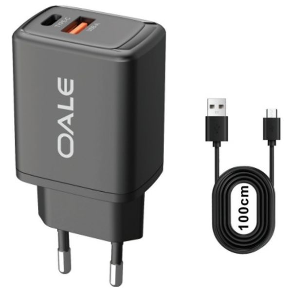 OALE iFast50U - Wall Charger - 25W - 2 Ports - Black